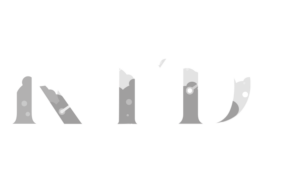 Logo-RTD